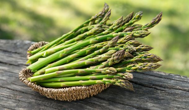 Asparagus